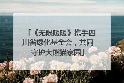《无限暖暖》携手四川省绿化基金会，共同守护大熊猫家园