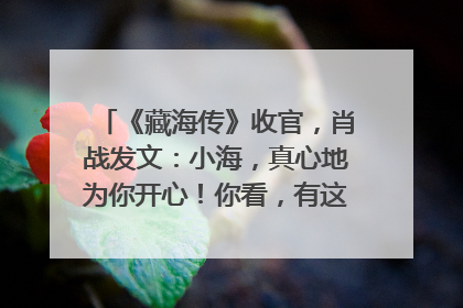《藏海传》收官，肖战发文：小海，真心地为你开心！你看，有这么多人懂你！