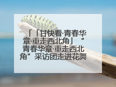 「甘快看·青春华章·重走西北角」“青春华章·重走西北角”采访团走进花舞南山 探寻天水乡村振兴之路