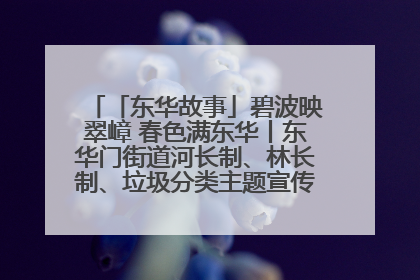 「东华故事」碧波映翠嶂 春色满东华丨东华门街道河长制、林长制、垃圾分类主题宣传如火如荼中