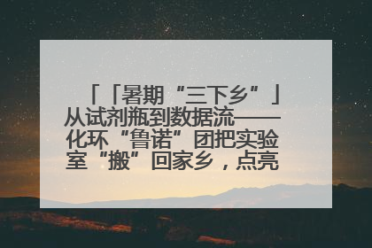 「暑期“三下乡”」从试剂瓶到数据流——化环“鲁诺”团把实验室“搬”回家乡，点亮桑梓求知路