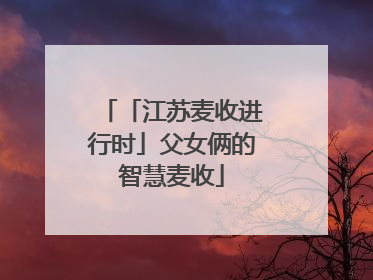 「江苏麦收进行时」父女俩的智慧麦收