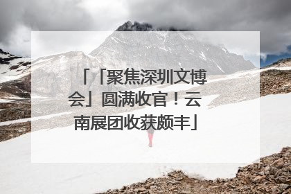 「聚焦深圳文博会」圆满收官！云南展团收获颇丰