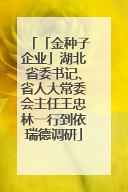「金种子企业」湖北省委书记、省人大常委会主任王忠林一行到依瑞德调研