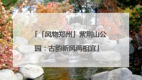 「风物郑州」紫荆山公园：古韵新风两相宜