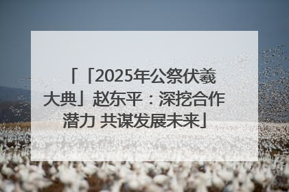 「2025年公祭伏羲大典」赵东平：深挖合作潜力 共谋发展未来