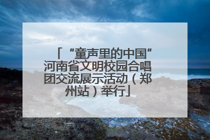 “童声里的中国”河南省文明校园合唱团交流展示活动（郑州站）举行