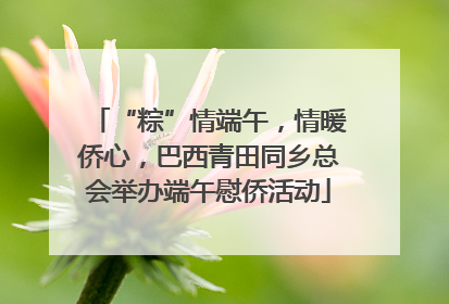 “粽”情端午，情暖侨心，巴西青田同乡总会举办端午慰侨活动