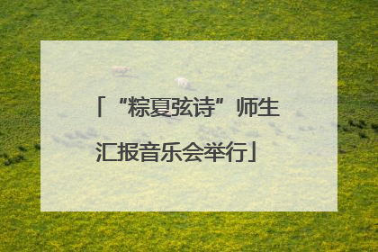 “粽夏弦诗”师生汇报音乐会举行