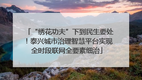 “绣花功夫”下到民生要处！泰兴城市治理智慧平台实现全时段联网全要素细治