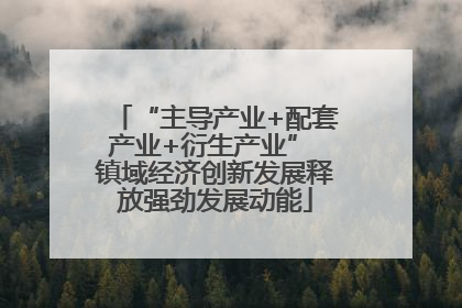 “主导产业+配套产业+衍生产业” 镇域经济创新发展释放强劲发展动能