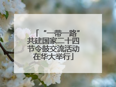 “一带一路”共建国家二十四节令鼓交流活动在华大举行