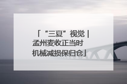 “三夏”视觉｜孟州麦收正当时 机械减损保归仓
