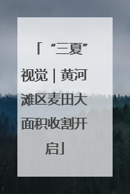 “三夏”视觉｜黄河滩区麦田大面积收割开启