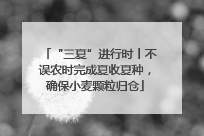 “三夏”进行时丨不误农时完成夏收夏种，确保小麦颗粒归仓