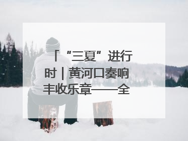 “三夏”进行时｜黄河口奏响丰收乐章——全市小麦进入大面积收获高峰期