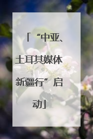 “中亚、土耳其媒体新疆行”启动