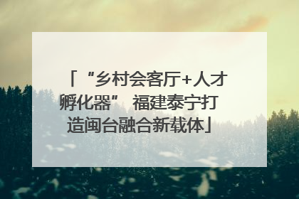 “乡村会客厅+人才孵化器” 福建泰宁打造闽台融合新载体