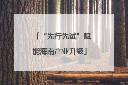 “先行先试”赋能海南产业升级