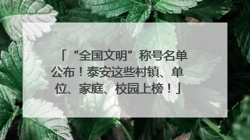 “全国文明”称号名单公布！泰安这些村镇、单位、家庭、校园上榜！