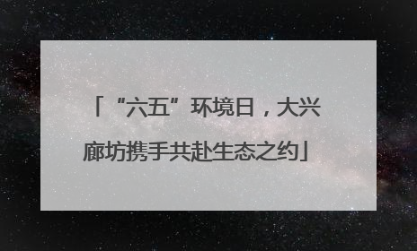 “六五”环境日，大兴廊坊携手共赴生态之约