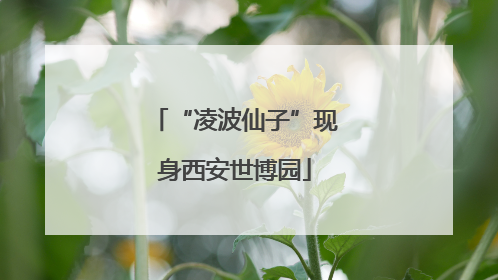 “凌波仙子”现身西安世博园