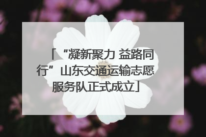 “凝新聚力 益路同行”山东交通运输志愿服务队正式成立