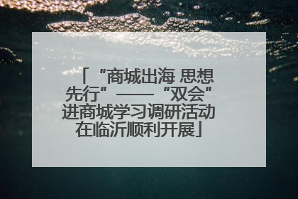 “商城出海 思想先行”——“双会”进商城学习调研活动在临沂顺利开展