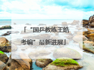 “国乒教练王皓考编”最新进展