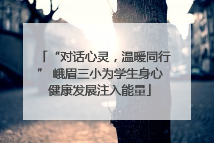 “对话心灵，温暖同行” 峨眉三小为学生身心健康发展注入能量