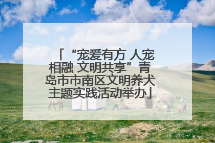 “宠爱有方 人宠相融 文明共享”青岛市市南区文明养犬主题实践活动举办