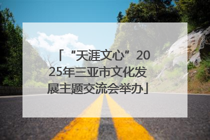 “天涯文心”2025年三亚市文化发展主题交流会举办