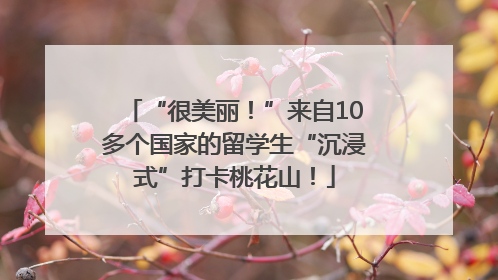 “很美丽！”来自10多个国家的留学生“沉浸式”打卡桃花山！