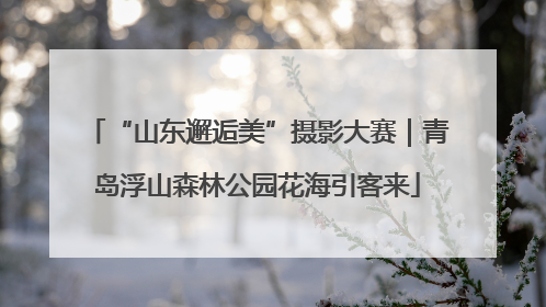 “山东邂逅美”摄影大赛｜青岛浮山森林公园花海引客来