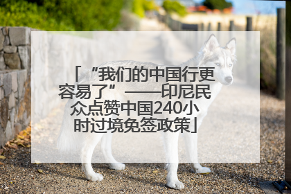 “我们的中国行更容易了”——印尼民众点赞中国240小时过境免签政策
