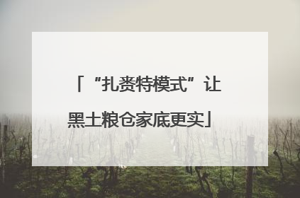 “扎赉特模式”让黑土粮仓家底更实