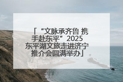 “文脉承齐鲁 携手赴东平”2025东平湖文旅走进济宁推介会圆满举办