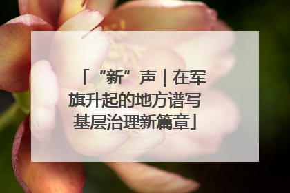 “新”声｜在军旗升起的地方谱写基层治理新篇章