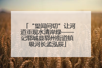 “望闻问切”让河道重现水清岸绿——记郓城县郓州街道镇级河长孟泓辰