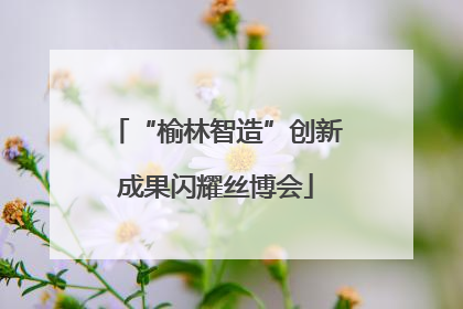 “榆林智造”创新成果闪耀丝博会