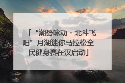 “潮势咏动・北斗飞阳”月湖迷你马拉松全民健身赛在汉启动