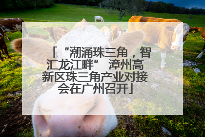 “潮涌珠三角，智汇龙江畔” 漳州高新区珠三角产业对接会在广州召开