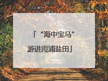 “海中宝马”游进霞浦盐田