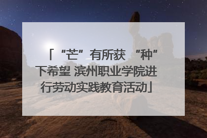 “芒”有所获 “种”下希望 滨州职业学院进行劳动实践教育活动