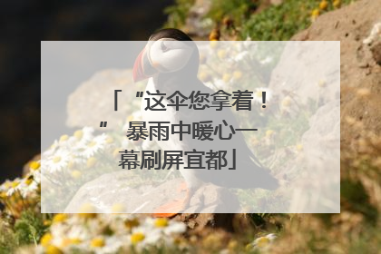 “这伞您拿着！” 暴雨中暖心一幕刷屏宜都