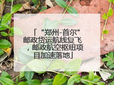“郑州-首尔”邮政货运航线复飞，邮政航空枢纽项目加速落地