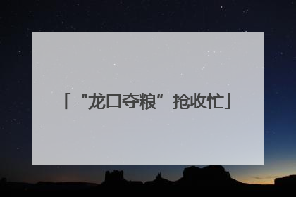 “龙口夺粮”抢收忙