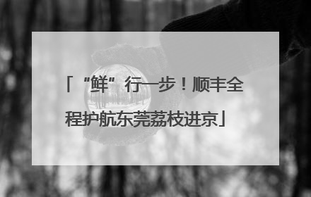 “鲜”行一步！顺丰全程护航东莞荔枝进京