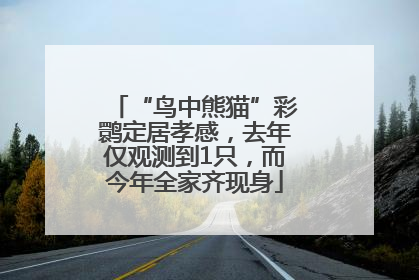 “鸟中熊猫”彩鹮定居孝感，去年仅观测到1只，而今年全家齐现身