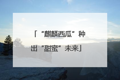 “麒麟西瓜”种出“甜蜜”未来